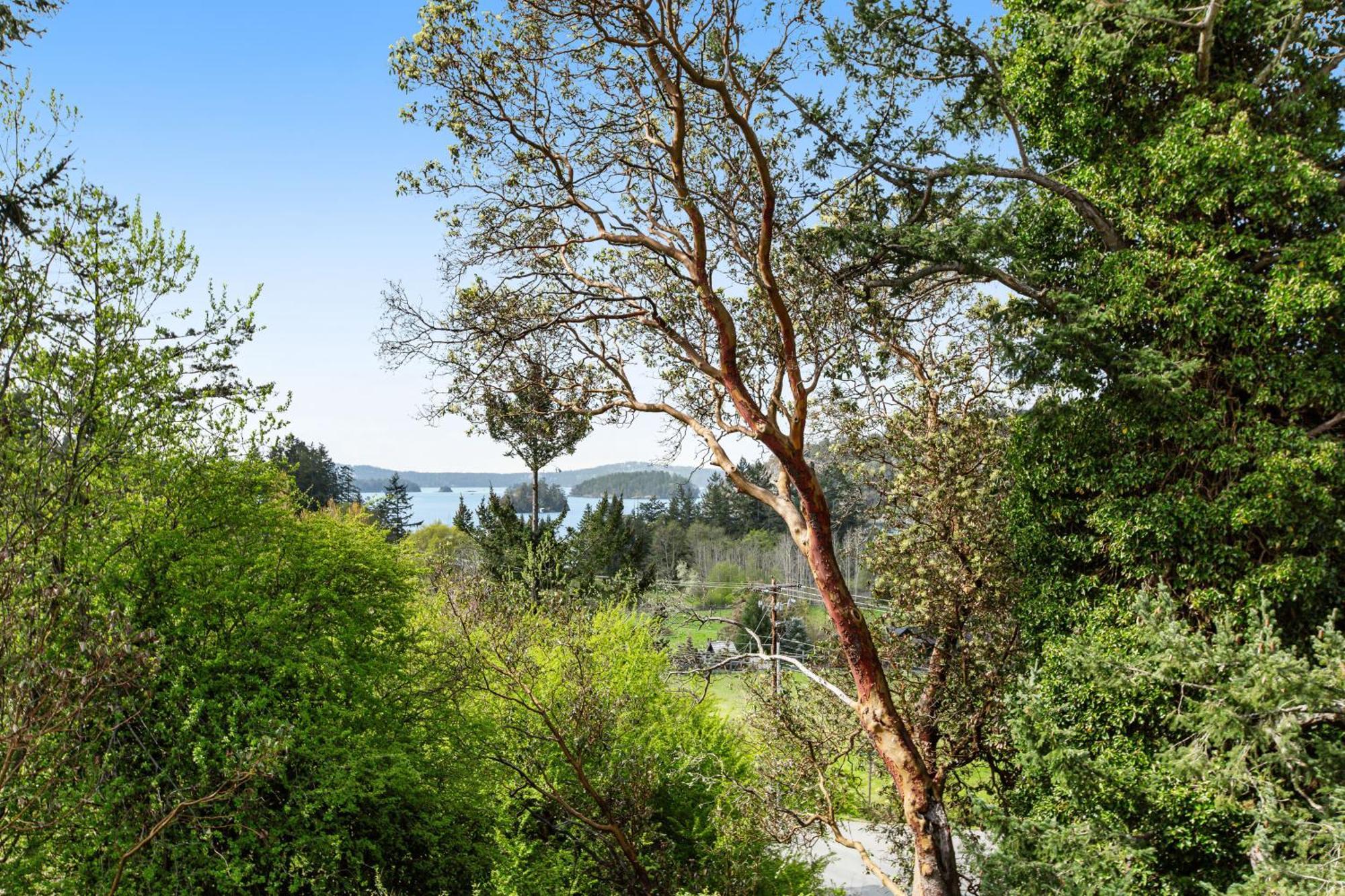 Deer Harbor Cottages Zimmer foto